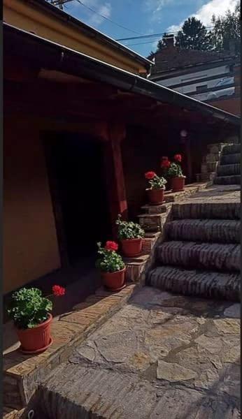 Apartmani Zapis Vrdnik Bagian luar foto